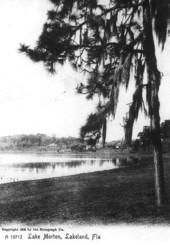 View of Lake Morton - Lakeland, Florida