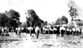 Crowd gathered at airport - Lake Alfred, Florida