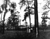 Immigrant settlers checking their land - Davenport, Florida