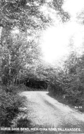 View of the Horseshoe bend on Meridian Road - Tallahassee, Florida.