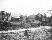 Typical "cracker" house and surrounding property - Eustis, Florida