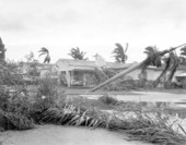 Damage from Hurricane Cleo - Miami, Florida.