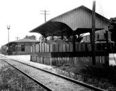 Railroad depot and fern shipping shed - Pierson, Florida.