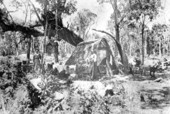 Early settlers living in temporary palmetto houses - Miami, Florida.
