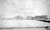 Train traveling on Port Tampa Dock.