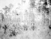 Pollard family members - DeLand, Florida