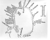 Map of the Gulf of Mexico