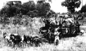 Charles (Chess) McCartney's goat caravan
