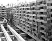 Drying cypress shingles at Putnam Lumber Company - Shamrock, Florida