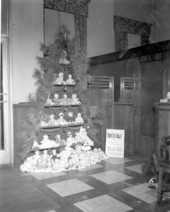 Dolls at the Capital City National Bank - Tallahassee, Florida