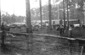 Logging camp of the Southern States Lumber Company