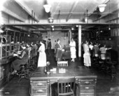 Southern Bell Telephone and Telegraph Company employees working - Miami, Florida.