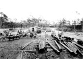 Sawmill between Carpenters Creek and Scenic Highway - Escambia County, Florida