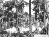 People fishing - Clewiston, Florida