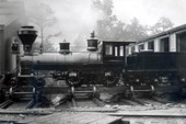 Florida Transit and Peninsular Railroad company steam engine #21
