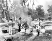 Seminole Indian village - Everglades, Florida