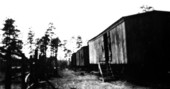 McGowin-Foshee Lumber Company logging camp - Falco, Alabama