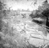 Log boom on the Suwannee River - Ellaville, Florida