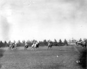Polo match - Miami Beach, Florida