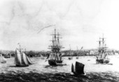Drawing of sailing ships by George Gauld - Pensacola, Florida.