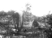 Seminole Indians skinning alligators