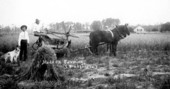 Hugh and Milton Brownlee baling hay on their farm - Bradford County, Florida