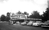 Gulf gas station at Florida Reptile Land - Taylor County, Florida