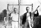 Men with bobcats after the hunt - Wakulla County, Florida