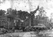 Steam crane loading logs - Escambia County, Florida