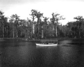 Early tour boat on the river - Wakulla River, Florida