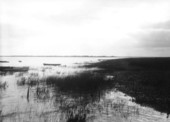 Looking out over Lake Okeechobee