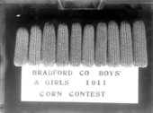 Corn grown by Bradford County boys and girls on display