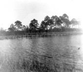 View of Watson Bayou bridge - Bay County, Florida