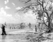 Shoreline view of woman and motorboat- Florida Keys, Florida