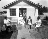 Scene at Leigh M. Pearsall's packing house - Melrose, Florida