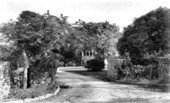 Anderson residence - Coral Gables, Florida
