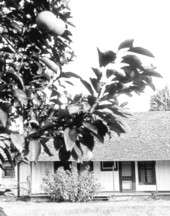 Marjorie Kinnan Rawlings home - Cross Creek, Florida