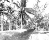 Rod & Gun Lodge - Everglades City, Florida