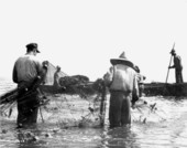 Seine fishing