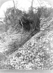 Shell mounds - Fort George Island, Florida