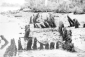 Old pilings at Fort San Marcos de Apalache Historic State Park - St. Marks, Florida