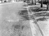 View down a street - Eustis, Florida