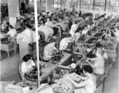 Interior view of a dressmaking factory - Miami, Florida.