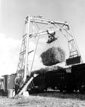 Loading sugarcane onto train - Clewiston, Florida