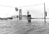 Riverfront parking lot after hurricane Dora - Jacksonville, Florida