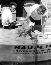 University of Miami Marine Laboratory biologists tagging Florida lobster as part of their study of migration and life
