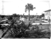 Mrs. Leigh M. Pearsall admiring rose bush - Melrose, Florida
