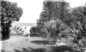 Helen Stokes in the backyard - Mohawk, Florida