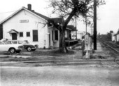 Mulberry tree by the railroad depot - Mulberry, Florida