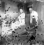 Mr. Maxon carrying daughter in wheelbarrow as Mrs. Roland watches - Saint Andrews, Florida